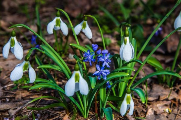 FB_IMG_1678983237351