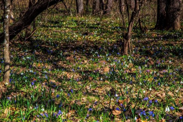 FB_IMG_1678983252199