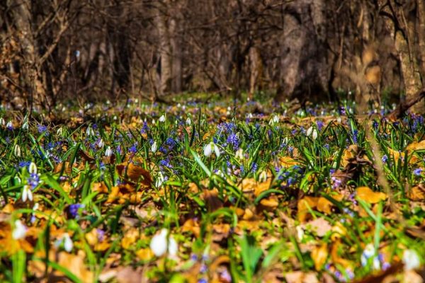 FB_IMG_1678983264930