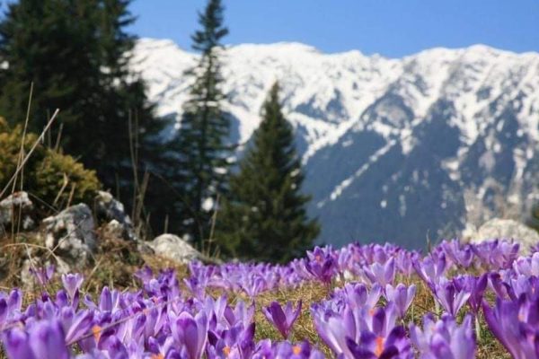 FB_IMG_1679050440188