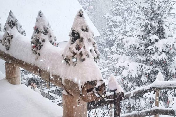 Imagine WhatsApp 2024-04-08 la 16.10.57_896e79f3