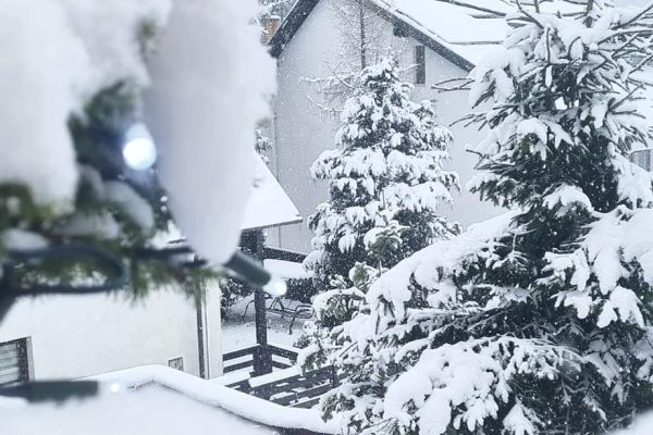 Imagine WhatsApp 2024-04-08 la 16.10.57_b8dd3a11