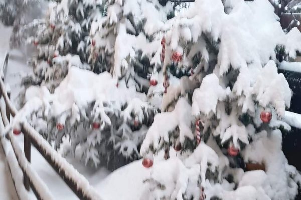 Imagine WhatsApp 2024-04-08 la 16.10.57_fd63c66c