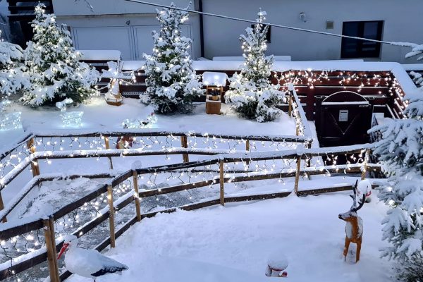 Imagine WhatsApp 2024-04-08 la 16.10.59_6c69a63c