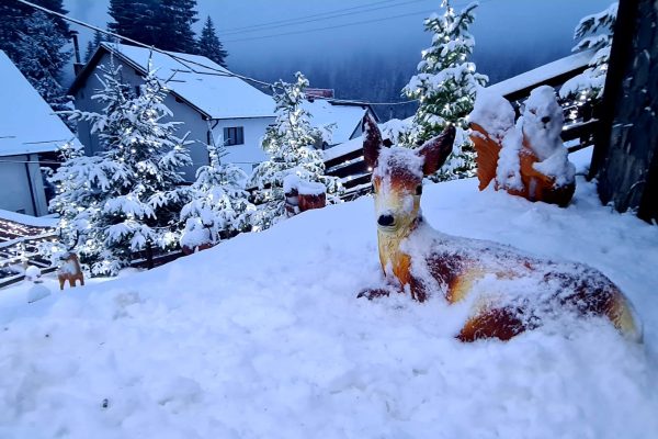 Imagine WhatsApp 2024-04-08 la 16.10.59_ad910f12