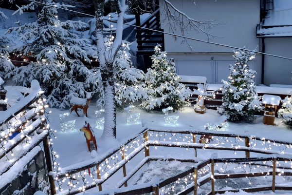 Imagine WhatsApp 2024-04-08 la 16.10.59_e21bf877